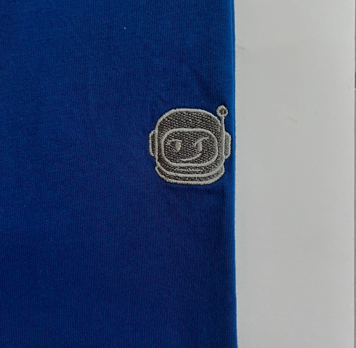 THE BASIC BLUE T - SHIRT